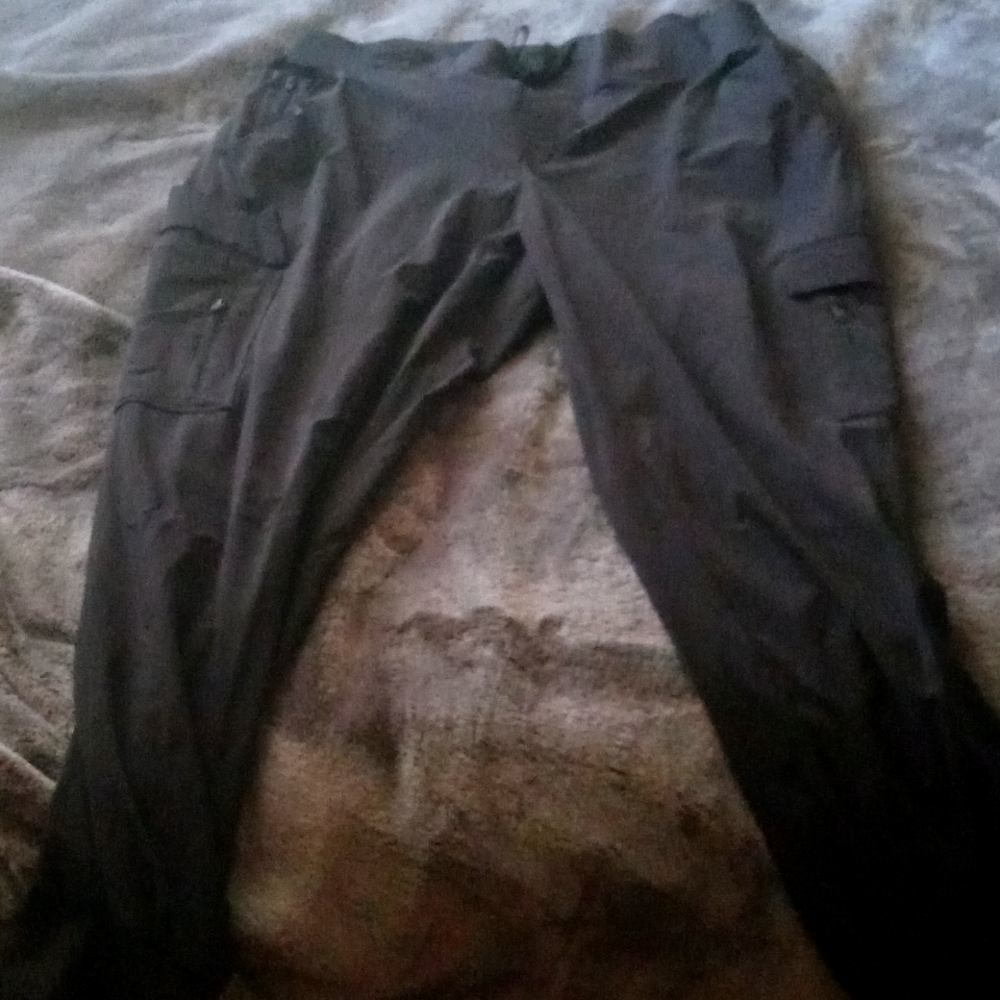 Dress pants